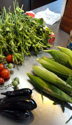 �̂ꂽ�Ă̖�؁B���ꂩ����˔\����B