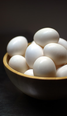 ��B�Y�̌{��