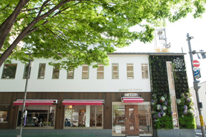 gomacro Salon�i�S�}�N���T�����j