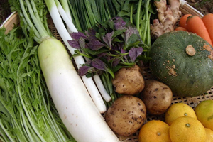 �{��̎Y�����R�H�ނ����͂��I�߂��� 