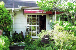 ���ҏ���