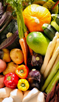 �¿������ʿ������